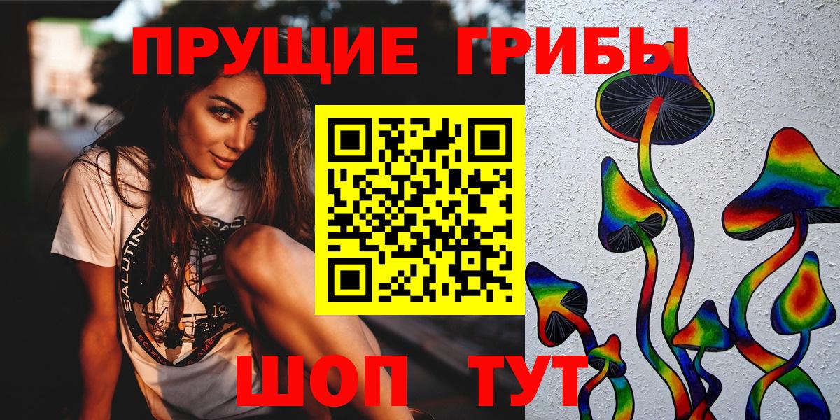 Галлюциногенные грибы Psilocybe  Псилоцибиновые грибы прущие грибы  Протвино  Вход с VPN 